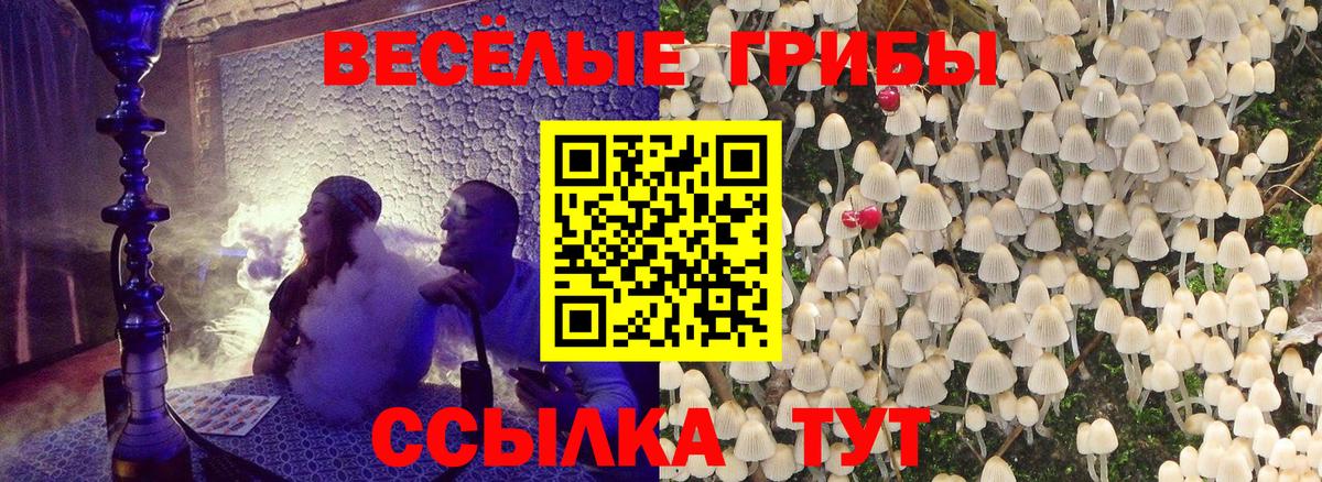 Псилоцибиновые грибы Magic Shrooms  Галлюциногенные грибы Psilocybe  Людиново  Вход с VPN 