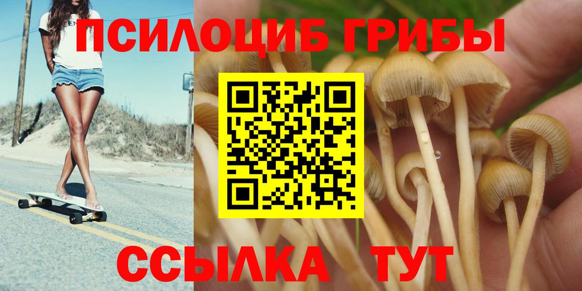 Галлюциногенные грибы Psilocybe Людиново